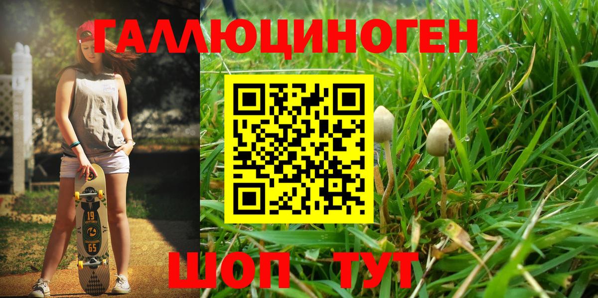Вологда  Псилоцибиновые грибы Psilocybe  Вход с VPN 